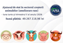 Crescătorii de animale primesc peste 49 de milioane de lei de la APIA
